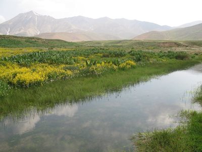 آمل-دریاچه-سد-لار-40632
