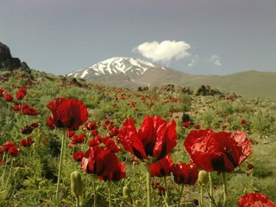 آمل-قله-دماوند-41052