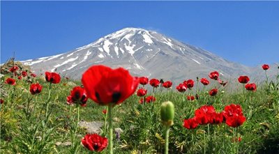 آمل-قله-دماوند-41055