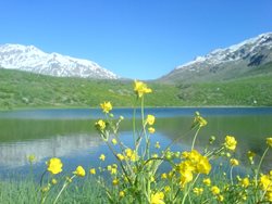دریاچه کوه گل