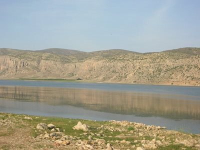 شیراز-دریاچه-و-تالاب-ارژن-42083