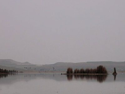 شیراز-دریاچه-و-تالاب-ارژن-42079