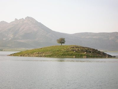 شیراز-دریاچه-و-تالاب-ارژن-42082