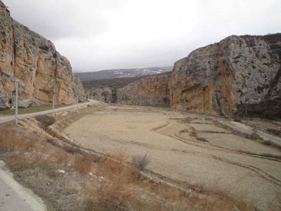 روستای سرخ گریوه