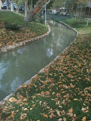 اصفهان-مادی-نیاصرم-42459