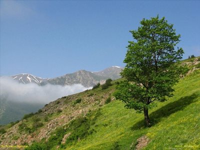 چالوس-روستای-هریجان-42455