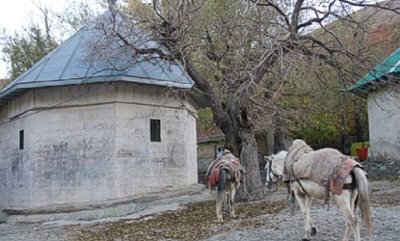 فشم-روستای-شکرآب-43444