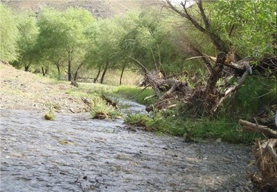 رشتخوار-دره-ییلاقی-غرق-آب-43484