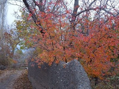 شبستر-روستای-بنیس-43681