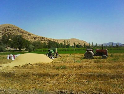 خوی-روستای-پیرکندی-44973