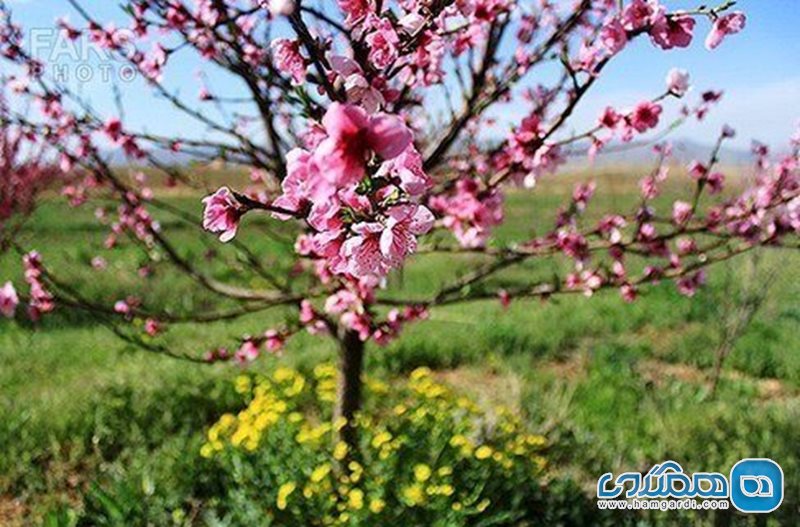 روستای چینی جان