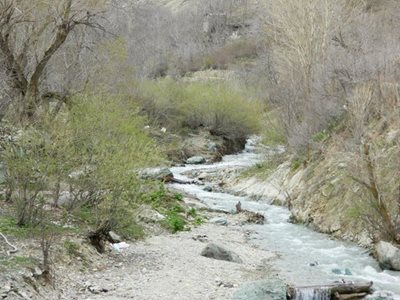 روستای باغ گل