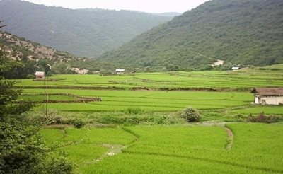 ساری-روستای-شلدره-46297