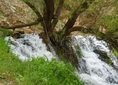 اردل-آبشار-لندی-46656