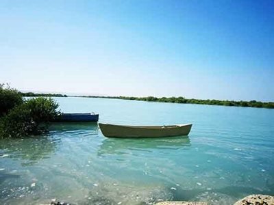 جاسک-جنگل-حرا-46759