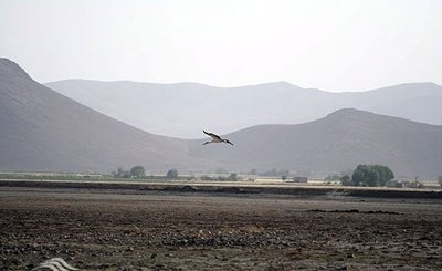 ملایر-تالاب-آق-گل-اسلامشهر-47236