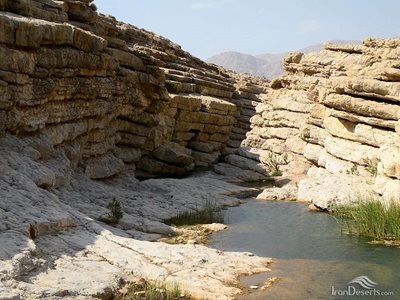 بندرعباس-دره-داماش-52150