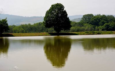 قائم-شهر-تالاب-کرچنگ-52266