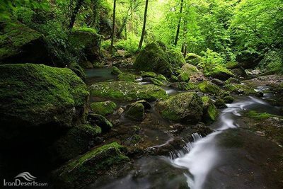 رامیان-آبشار-پشمکی-52326