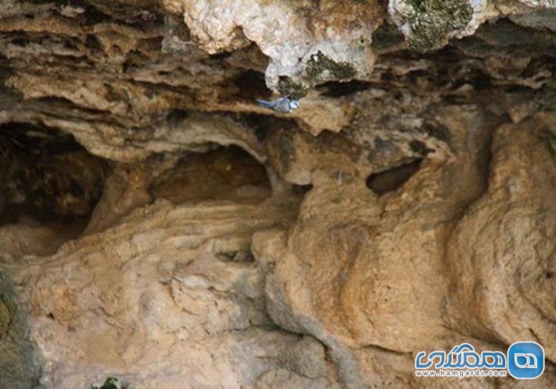 غار گاکال