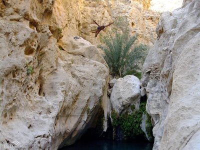 بندر-دیر-تنگ-مخدان-52924