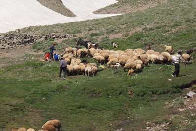 سراب-روستای-اسبفروشان-53478