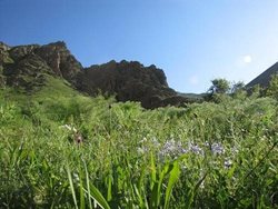 روستای برزند