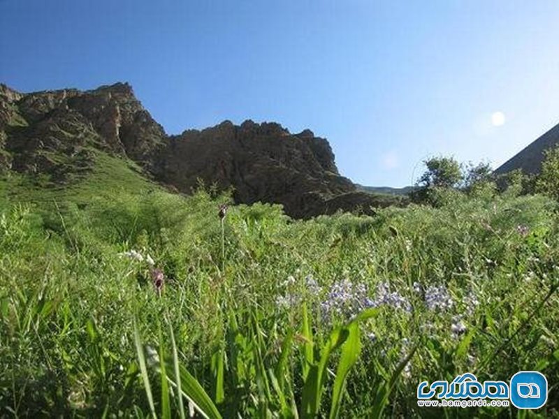 روستای برزند