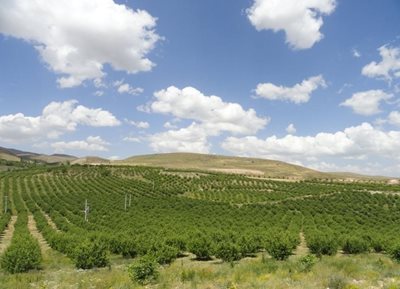 میانه-روستای-توشمانلو-53706