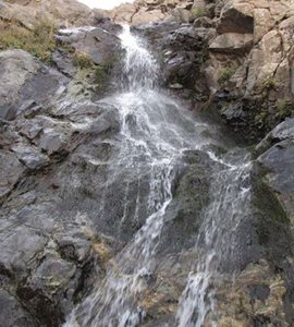 سنقر-آبشار-گیشاپسند-53725