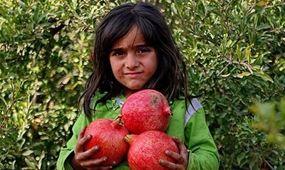 جم-روستای-انارستان-53767