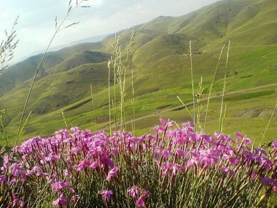 زنجان-روستای-امند-54819