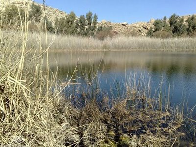پل-دختر-تالاب-لفافه-55042