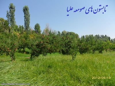 میانه-روستای-صومعه-علیا-55421