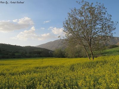 سرعین-روستای-تاریخی-کنزق-56346