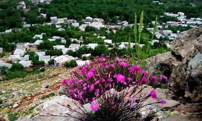 روستای شمشیر