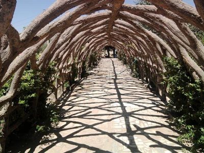 تبریز-پارک-جنگلی-باغمیشه-56814