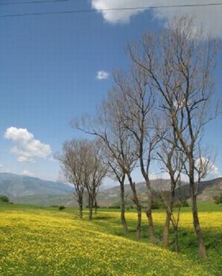 رودبار-روستای-ناش-57423