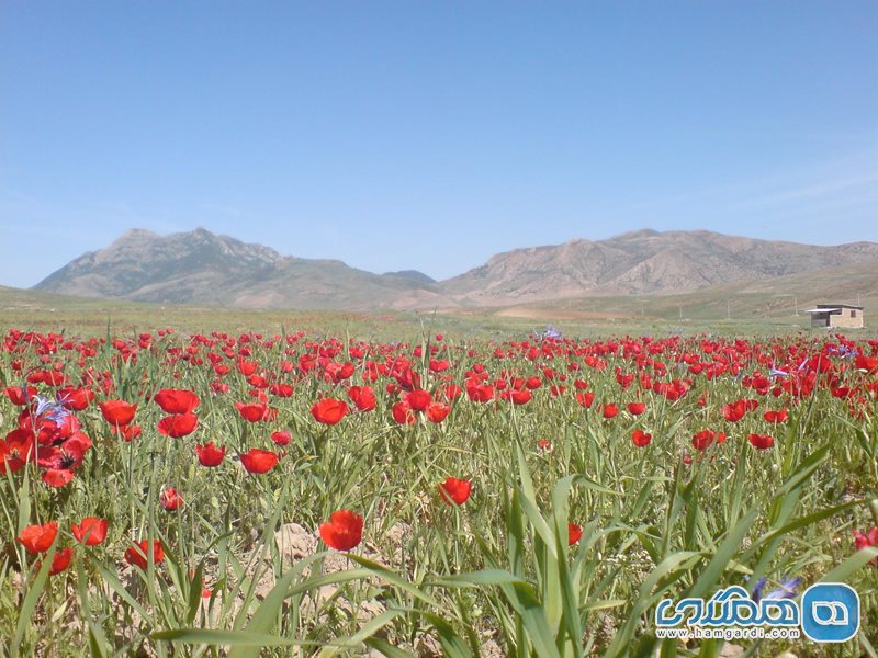 روستای میرافضل واوسر