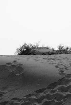 آران-و-بیدگل-کویر-مرنجاب-59242