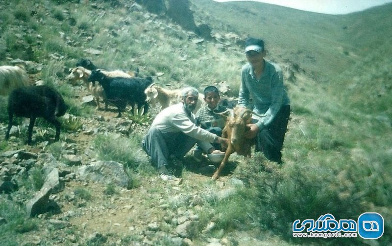 روستای گونلو