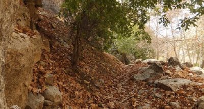 استهبان-تنگ-لای-تاریک-59670
