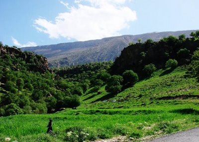 بدره-تنگ-لارت-59686