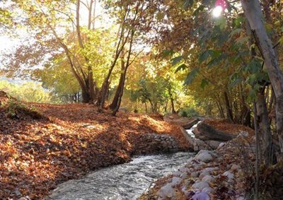 یاسوج-تنگ-گنجه-ای-59692