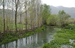 روستای سراب برناج