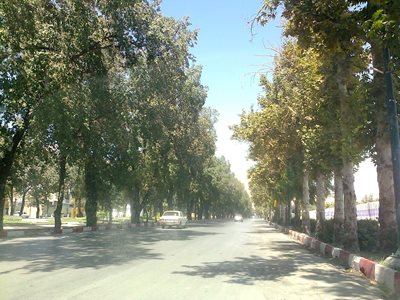 کرمانشاه-بلوارطاق-بستان-60355