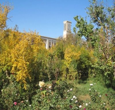 مهریز-باغ-مدرسی-61444