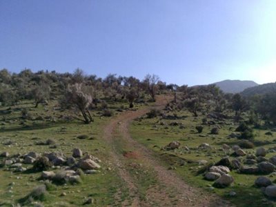 فیروزآباد-تنگ-خرقه-61523