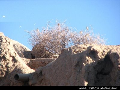 اصفهان-قلعه-قورتان-61750