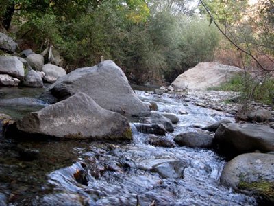 ساوجبلاغ-روستای-بریانچال-61763